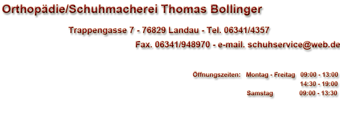 schuhmachermeister bollinger landau